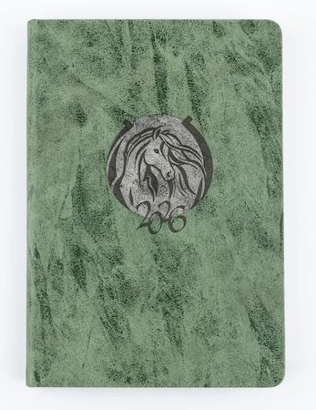 Ежедневник А5 2026 ВЕРОНА зеленый+ серая вставка