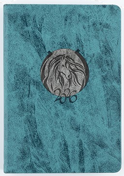 Ежедневник А5 2026 ВЕРОНА синий+ серая вставка