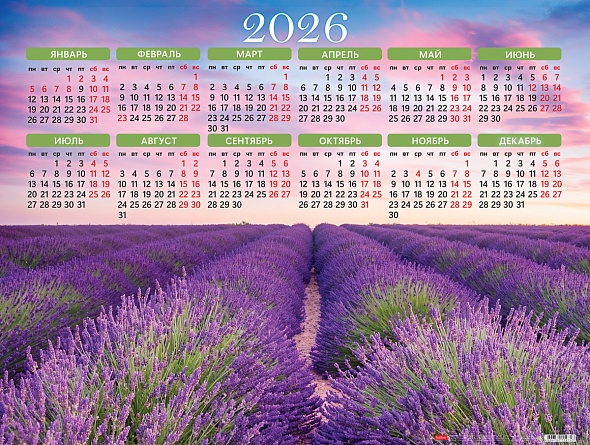 Календарь листовой 2026 А2 Лавандовые поля