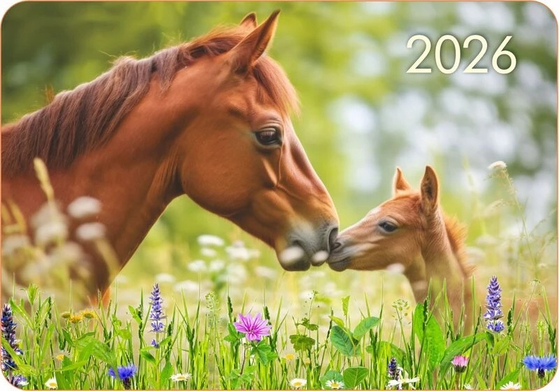 Календарь карманный 2026 Год лошади - Семья 70х100мм
