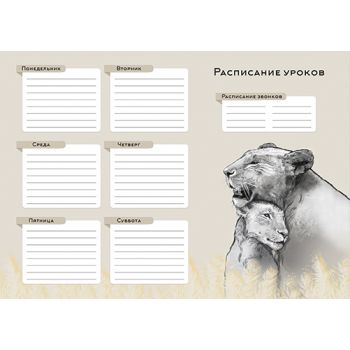 Расписание уроков А3 ЛЬВЫ  220 гр/м2