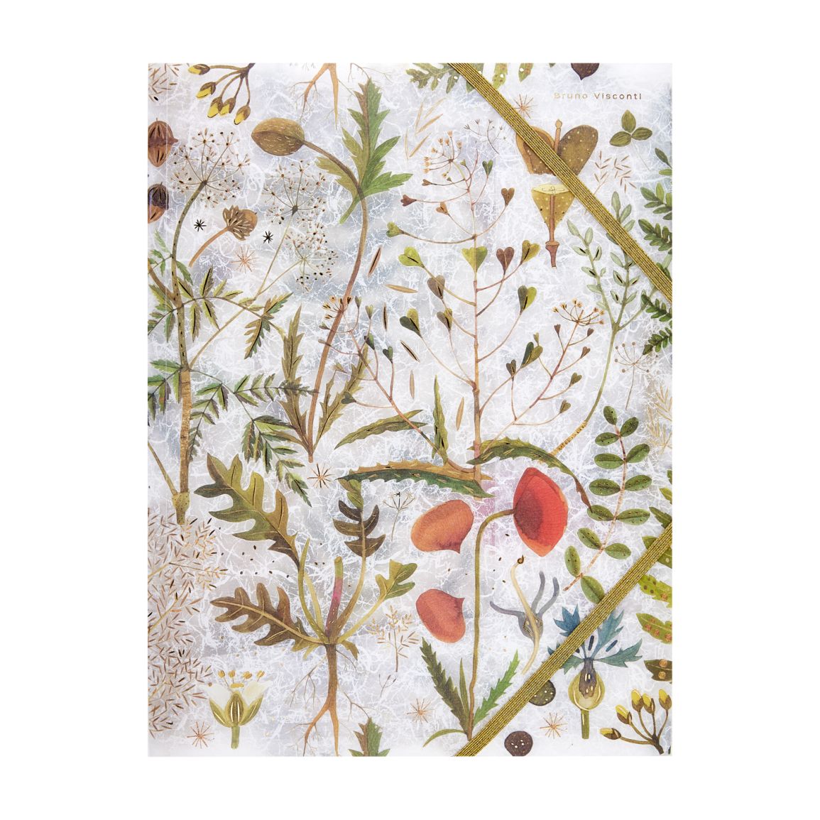 Папка на резинках А4 FLORA.ЛУГОВЫЕ ТРАВЫ