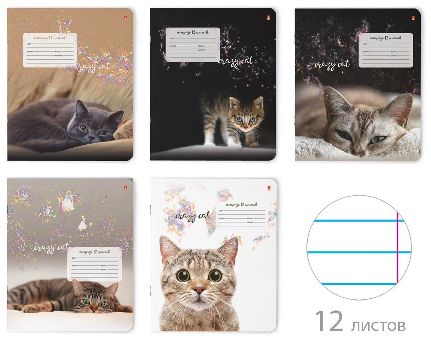 Тетрадь 12л клетка Удивительные котята ассорти