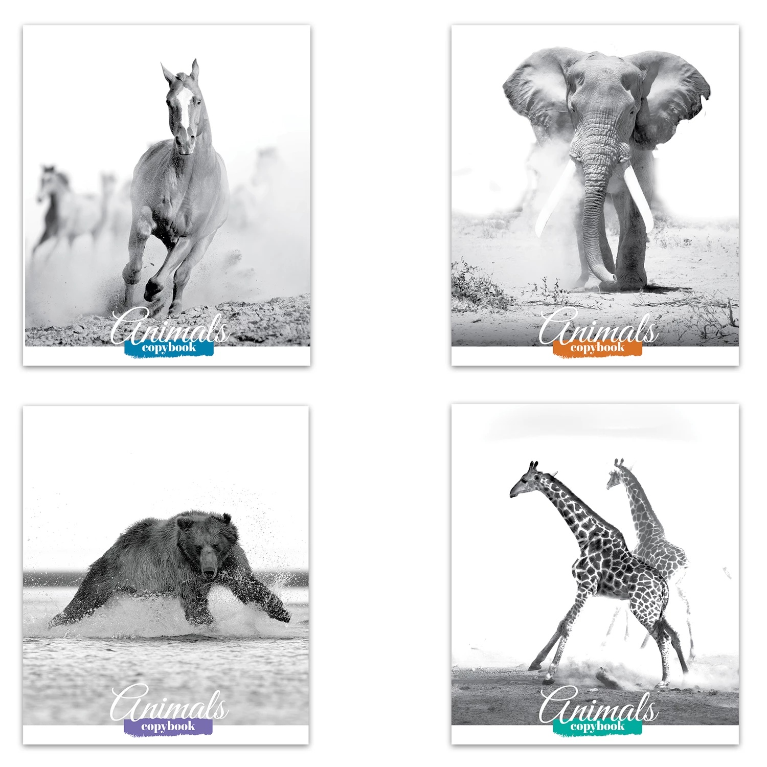 Тетрадь 48л кл Дикие животные 60 г/м2