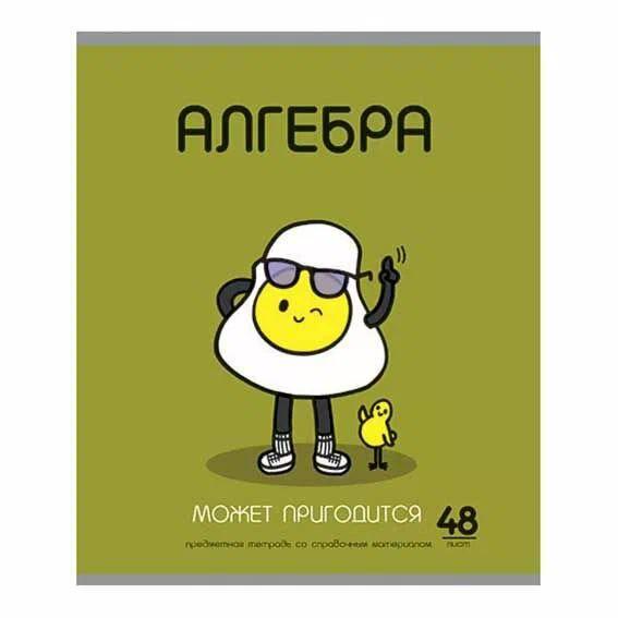 Тетрадь 48л кл темат Алгебра ИИшница
