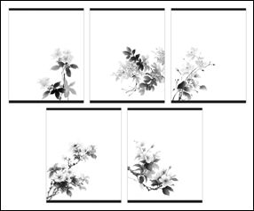 Тетрадь 48л кл Чёрно-белые цветы 60 г/м2