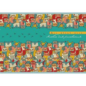 Альбом д/рис 30л Совушки 110г/м2