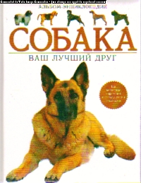 Собака. Ваш лучший друг: Альбом-энциклопедия