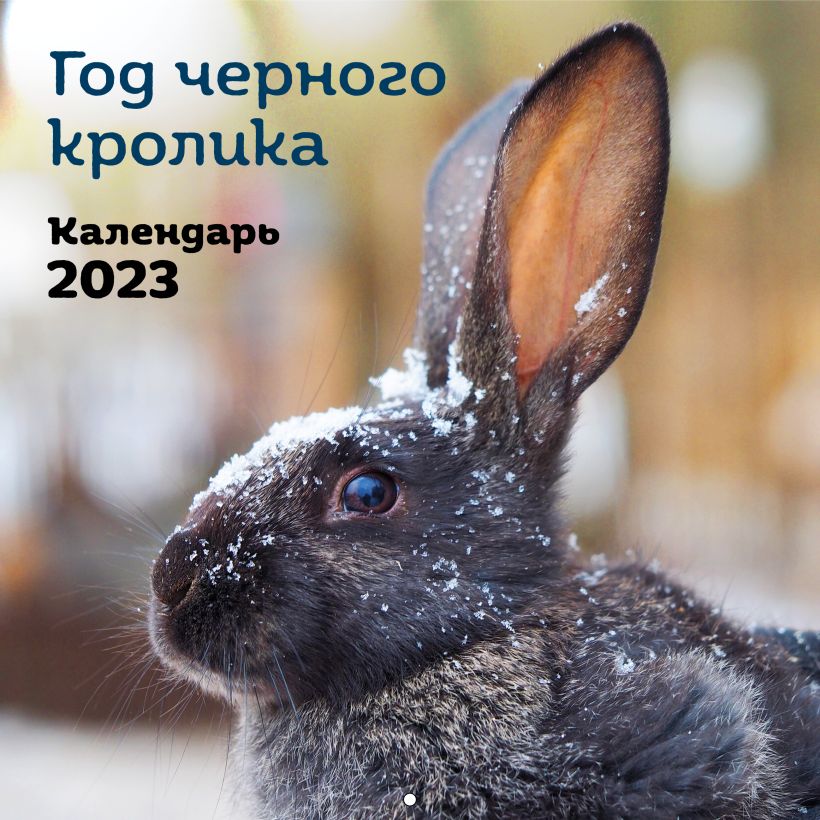 Календарь настенный 2020 Гравити Фолз. Календарь монстров