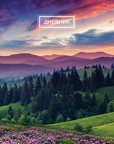 Дневник ст кл Альпийский луг