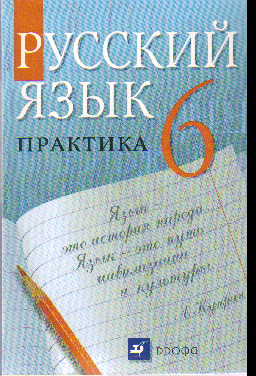 Русский язык. 6 кл.: Практика: Учебник