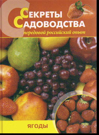 Секреты садоводства: ягоды