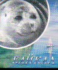 Сувенир Блокнот Байкал 9х11 картон ассортимент