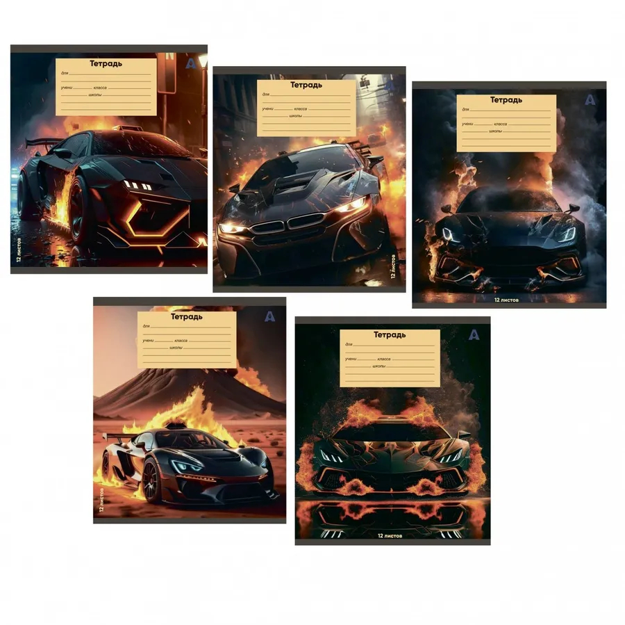 Тетрадь 12л клетка Alingar Super cars ассорти