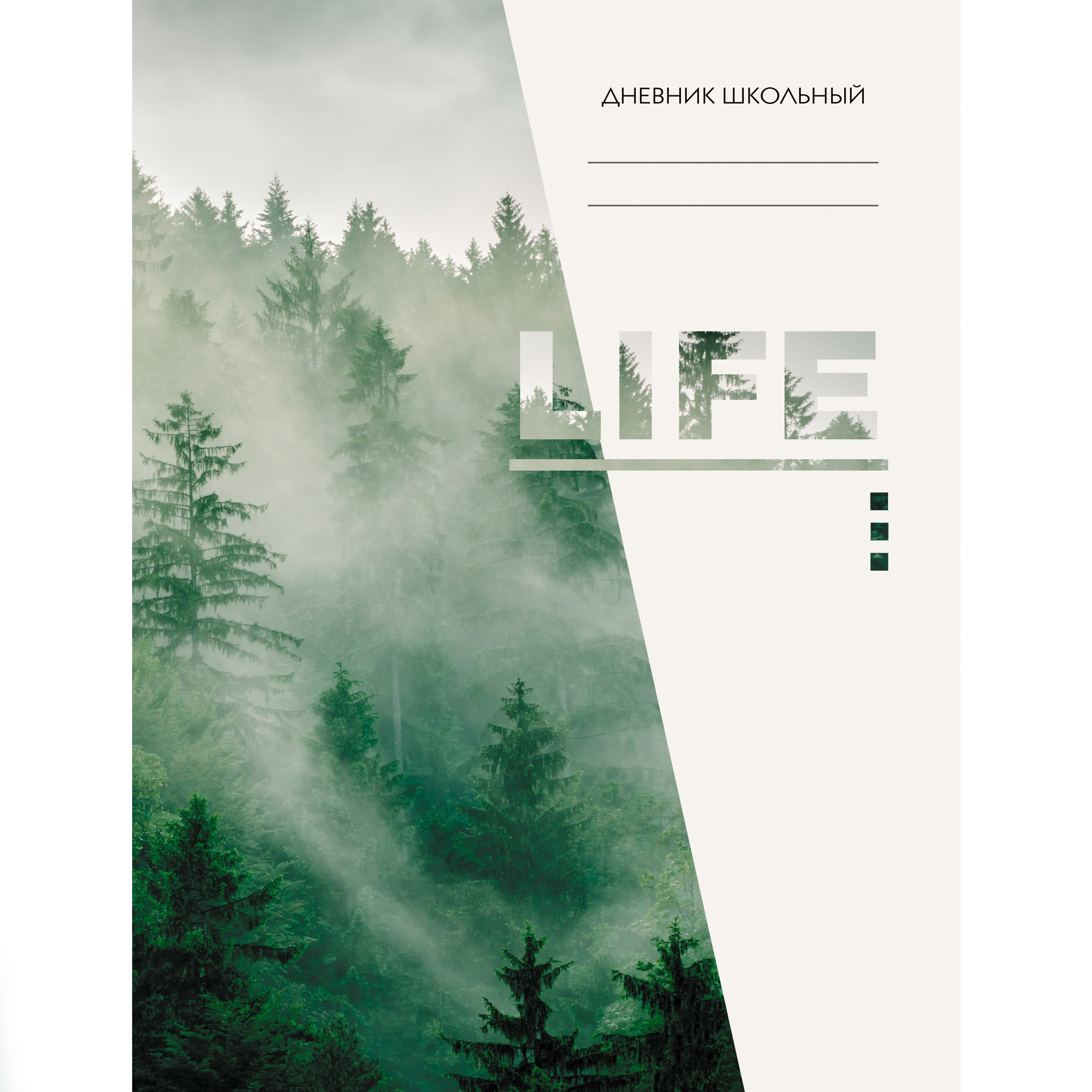 Дневник ст кл Life