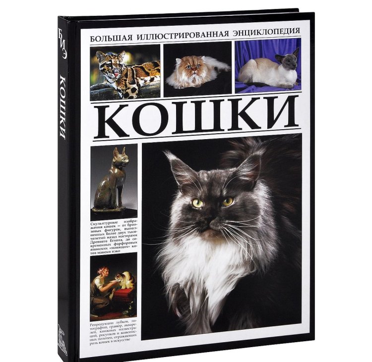 Кошки