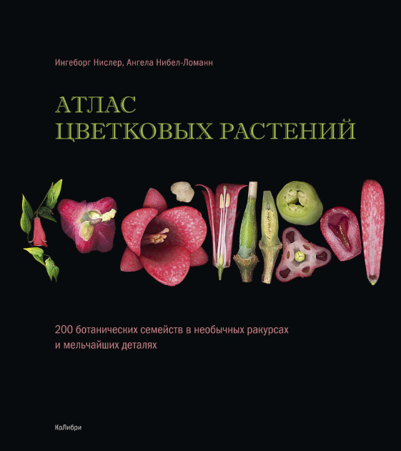 Атлас цветковых растений