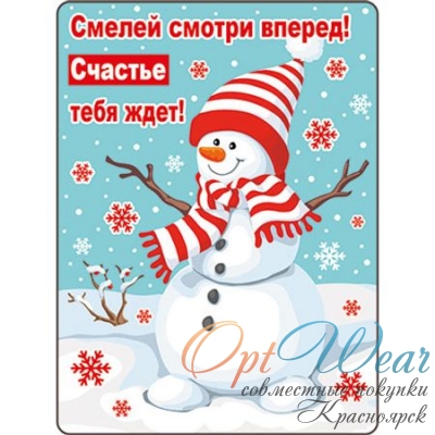 НГ Магнит 51.12.214 Смелей смотри вперед!.. винил 7*9 снеговик