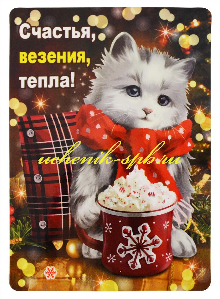 НГ Магнит 51.12.217 Счастья, везения, тепла! винил 7*9 котик