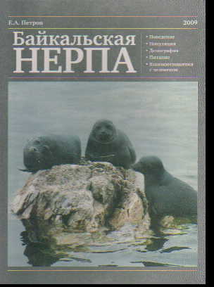 Байкальская нерпа. Все о байкальской нерпе