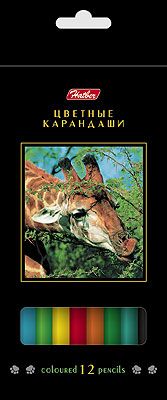 Карандаши цветные 12 цв Hatber Дикий мир