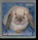 Сувенир Магнит Z 8. Скорпион (пласт. 6х6 в пакете)