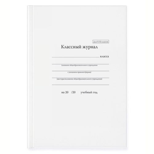 Классный журнал для X - XI кл (10-11) (96 стр.) BG