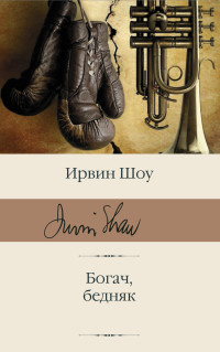 Богач, бедняк: Роман