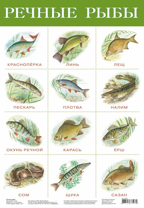 Справочник Пресноводных Рыб
