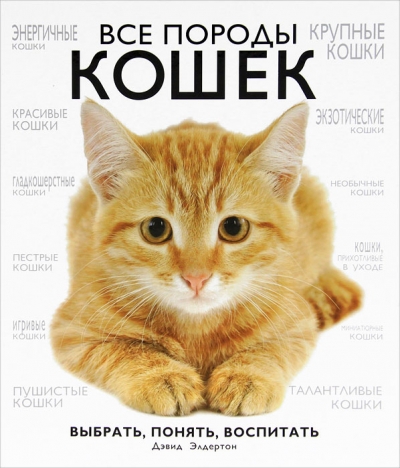 Все породы кошек