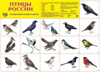 Плакат Птицы России: Познавательно-речевое развитие А2