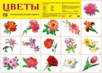 Плакат Цветы садовые: Познавательно-речевое развитие А2