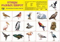 Плакат Птицы разных широт: Познавательно-речевое развитие А2