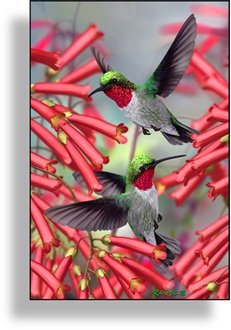 Пазл 50 Artgame 3D Hummingbirds