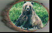 Сувенир Магнит Байкал дерев 8х5х1,5 6 Медведь (на кедре)