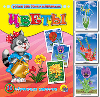 Цветы: 16 обучающих карточек