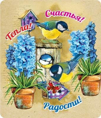 Магнит 15.20.00055 Тепла! Счастья!.. винил 6*7 синички сирень