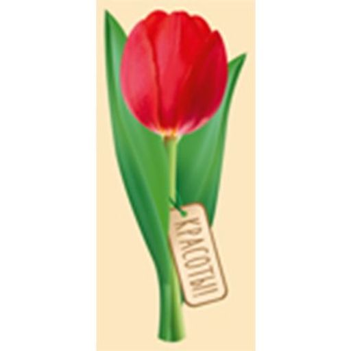 Закладка Красоты! мал бум выруб тюльпан