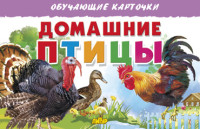 Домашние птицы: обучающие карточки
