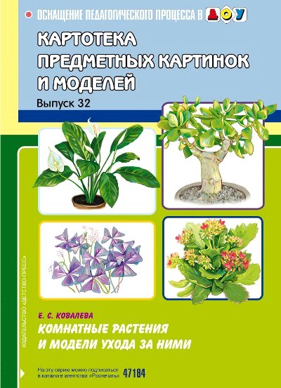 Картотека предметных картинок и моделей: Вып.32: Комнатные растения и модел