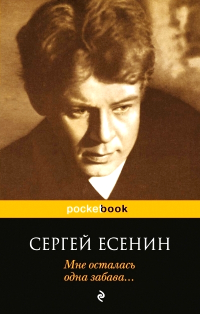Мне осталась одна забава...