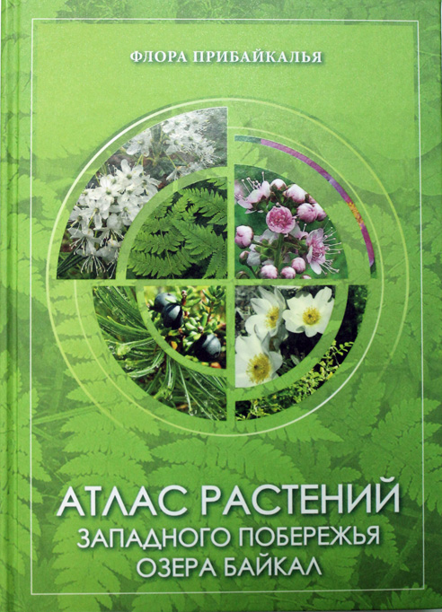Атлас растений Западного побережья озера Байкал