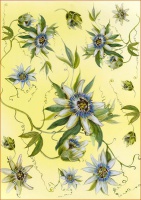 Творч Декупажная карта А4 Загадочный цветок