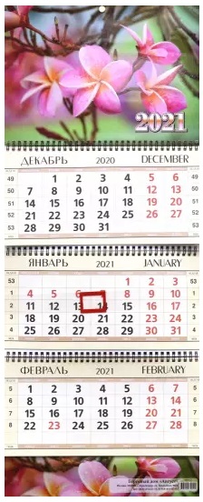 Календарь квартальный 2021 КВК-2 Тропический цветок