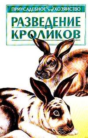 Разведение кроликов