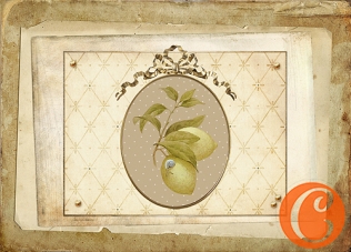 Творч Декупажная карта А4 Медальон с лимоном