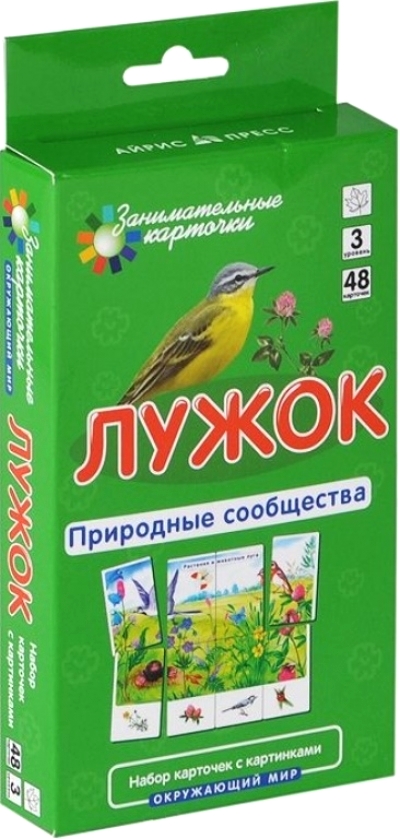 Лужок. Природные сообщества. Окружающий мир