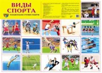 Плакат Виды спорта: Познавательно-речевое развитие А2