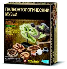 Набор для исследования Палеонтологический музей