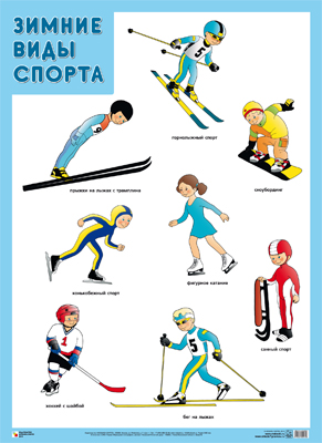 Плакат Зимние виды спорта